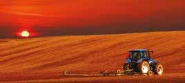 Agricultural production surveys are often conducted by type of agricultural commodities, using different concepts, sampling frames, sampling methods, collection procedures, survey processing