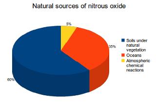 Natural Sources of Nitrous Oxide (N 2 O) The main natural sources are soils under natural vegetation and the oceans.
