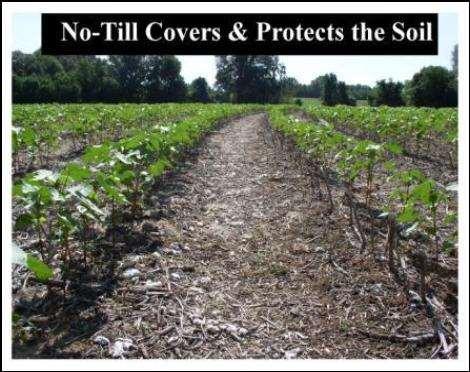 2) Soil Erosion / Exhaustion Poor farming practices can lead to the loss of soil by wind