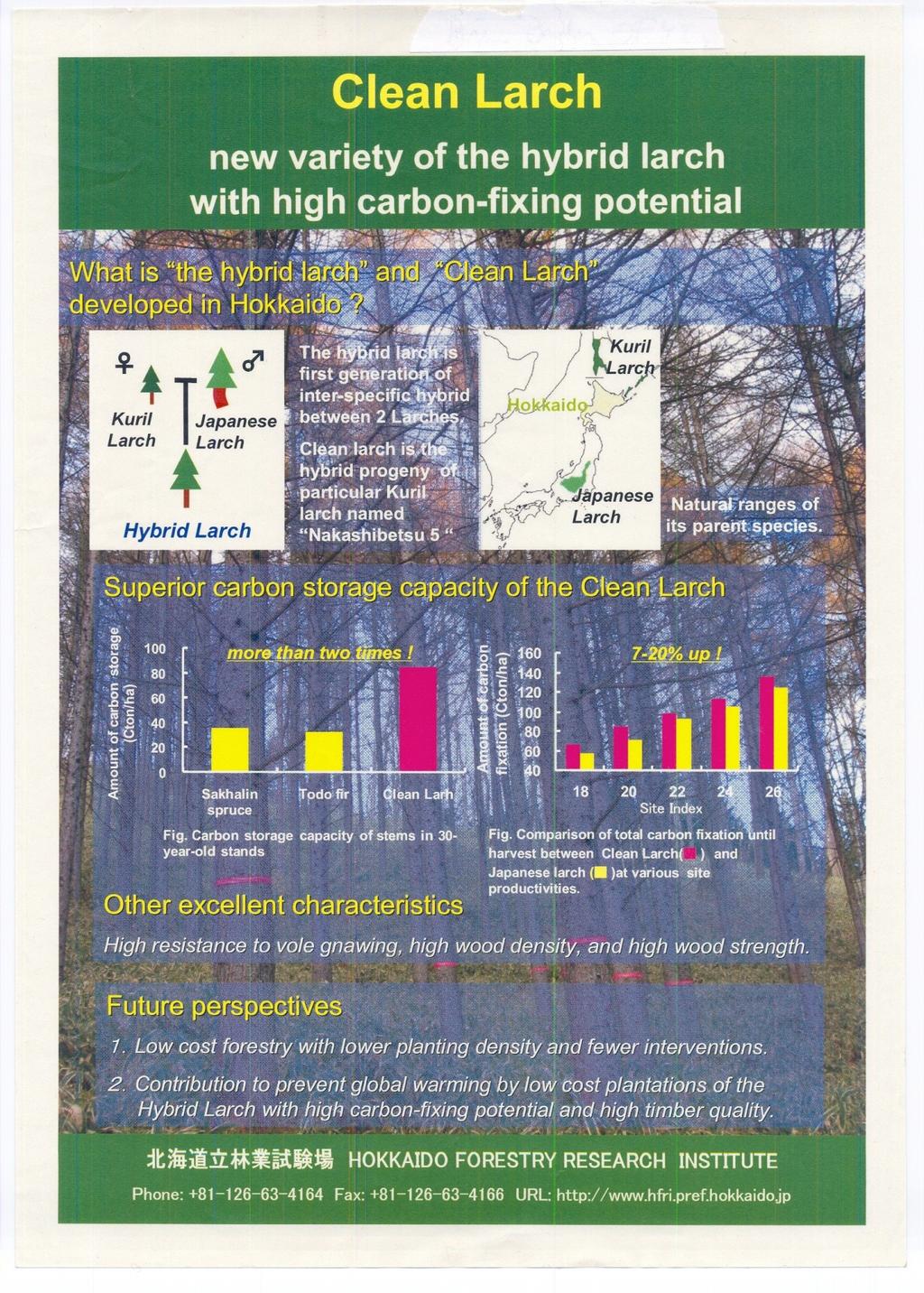 Superior carbon storage High carbon fixing