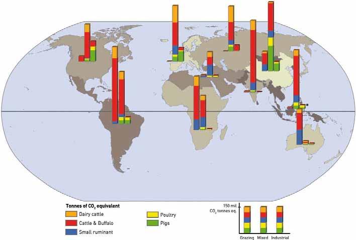 livestock s long shadow Map 30 Total greenhouse gas emissions from enteric fermentation and manure per species and main production system Source: LEAD.