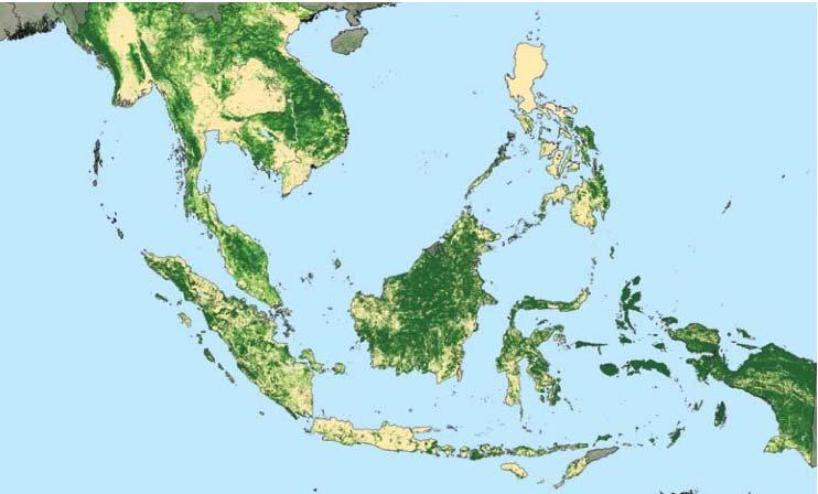 INDONESIA FACT SHEET Source : FAO