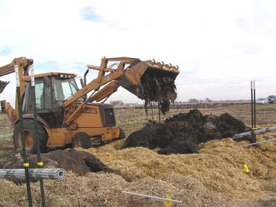 Windrow Composting Procedures Step 3 - Cover carcasses with 18-24 inches of