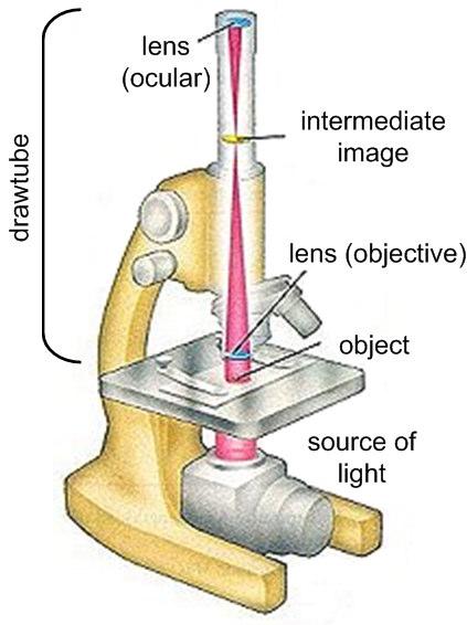 Optical microscope Basic definitions Optical microscope an optical device that produces a magnified image of objects (or their elements) too small to be seen with the naked eye.