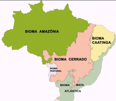 Restore demand in each biome (applying Forest Code 2012) Million ha (Mh ha) 9 8 7 6 5 4 3 2 1 0 8 6 5 Amazônia