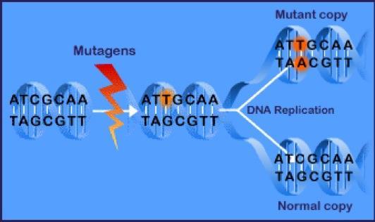 DNA repair mechanisms In biology, a mutagen (Latin, literally origin of change) is a physical or chemical agent that changes the genetic material (usually DNA) of an organism and thus increases the