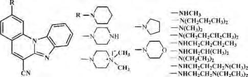P374 Synthesis, Antitumor Activity In Vitro and Interaction with DNA of Novel Amino- Substituted Benzimidazo[1,2-a]quinolines Grace Karminski-Zamola, [a] Nataša Perin, [a] Marijana Hranjec, [a] Irena