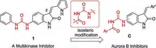 to identify potent anticancer agents with an indolin-2-one core, a new class of compounds with a benzoylurea linker were rationally designed from lead molecule 1 by applying the concept of