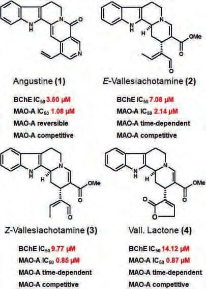 P497 Alkaloids from Psychotria as Multifunctional Cholinesterases and Monoamine Oxidases Inhibitors Carolina dos Santos Passos, Cláudia Simões-Pires, Laurence Marcourt, Alessandra Nurisso, Amélia