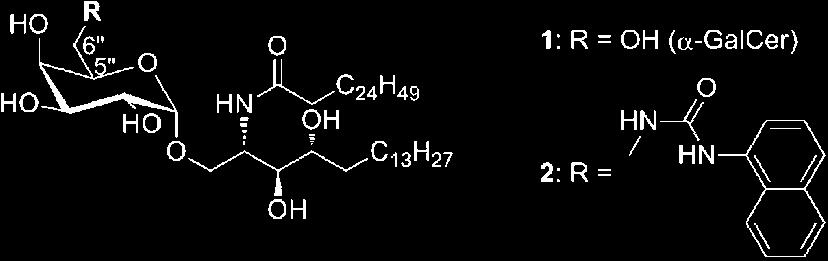 P547 Synthesis and Biological Activity of New 5-O-Benzyl-7-thiazolyl Isosteres of Goniofufurone and 7-epi-Goniofufurone Miloš Svirčev, [a] Mirjana Popsavin, [a] Ivana Kovačević, [a] Vesna Kojić, [b]