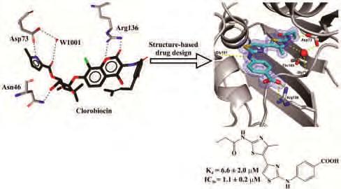 P150 Discovery of 4,5 -Bithiazoles as Novel Inhibitors of DNA Gyrase B by a Structure-Based Virtual Screening Approach Matjaz Brvar, [a] Andrej Perdih, [a] Miha Renko, [b,c] Gregor Anderluh, [d,e]