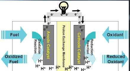 This paper review presents the fundamentals of a microbial fuel cell, and its application in the area of electricity generation and wastewater treatment.