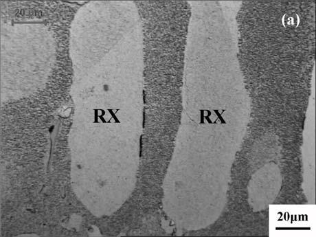 Microstructural Evolution during Creep of RX Specimens Primary Creep The microstructure interrupted at primary creep regime (point 1 in Figure 3b) was shown in Figure 4.