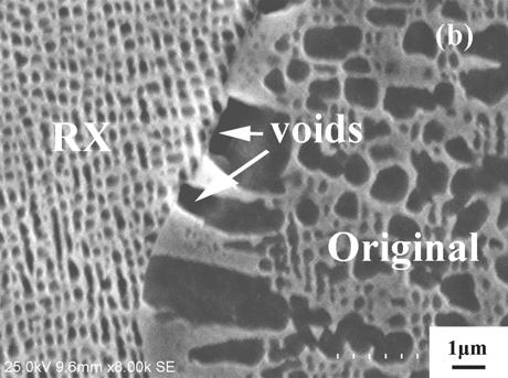 SEM observation showed that a few voids formed along the transverse RX grain boundaries (Fig. 4b). The initiation site of these voids is mainly at the interface between original γ matrix and RX grain.