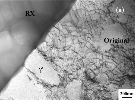 Figure 6: TEM micrograph of interrupted creep specimen (point 2 in Figure 3b) showing the dislocation distribution inside the RX grain.