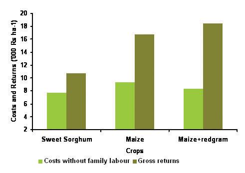 A cropping system-wise comparison of total expenses (excluding family labor) and gross revenues is shown in (Fig. 2).