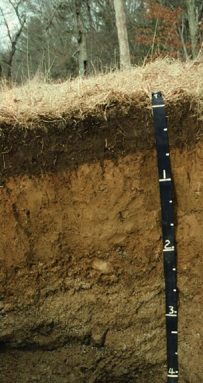 2.1.2 Physical characteristics of soil (1) Soil profile Soil profile layers of soil are called