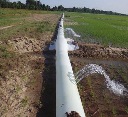 Multiple Inlet (MI) Irrigation Cross tubing perpendicular over levees to keep tubing from rolling. Use small diameter PVC tubing through pipe if necessary.