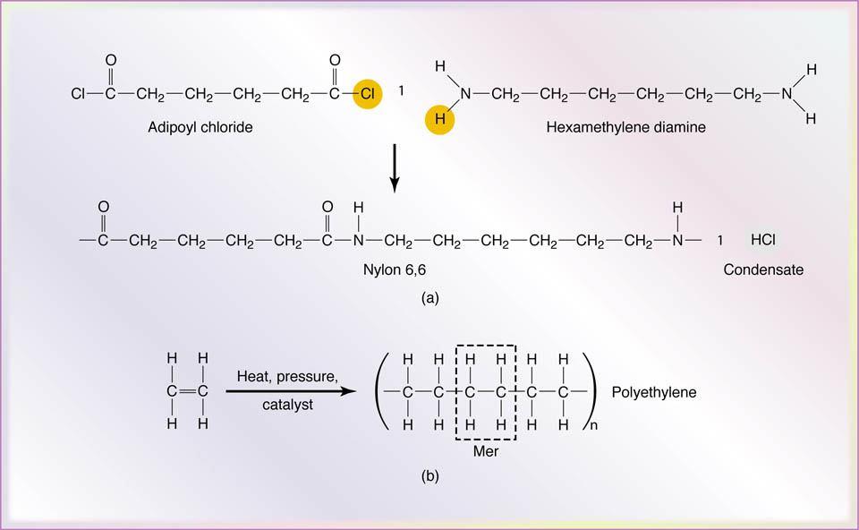 Polymerization Figure 7.3 Examples of polymerization.