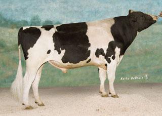 The Dairy Cattle Industry First genomic evaluation in 2009 1 Evaluation in 2012 1 Parent information + 100s of daughters