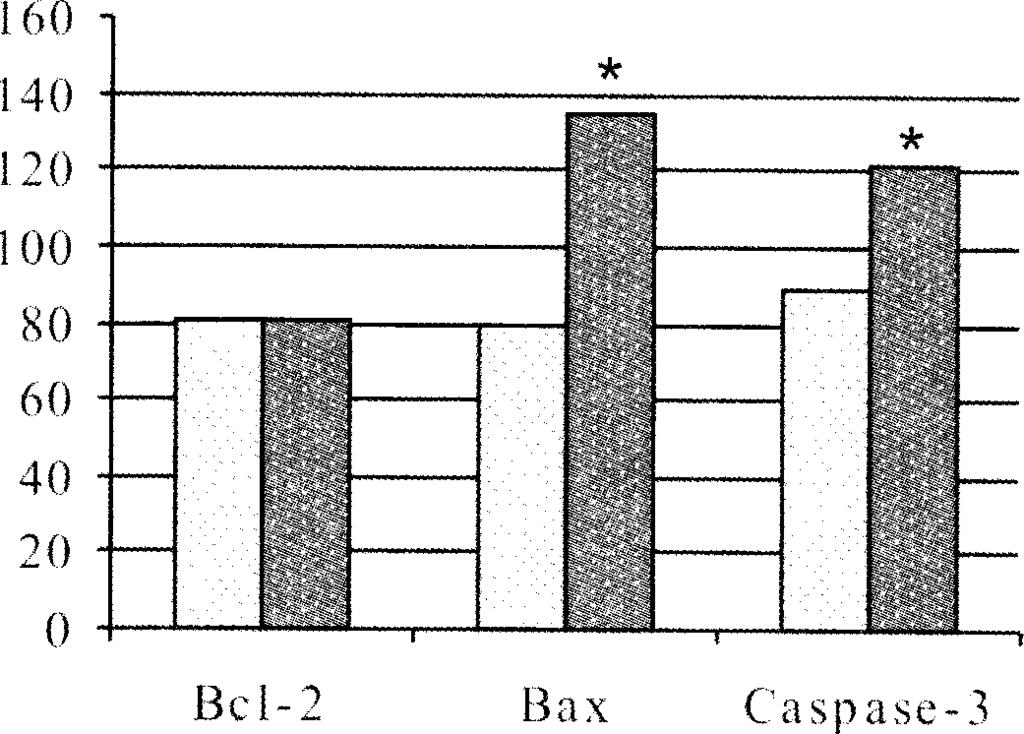 I Fig. 2 Intensity o f the im m une expression o f Bcl-2, Bax and Caspase-3 in the dermal capillary endothelial cells o f the skin rash papules and controls (in relative units). *p<0.