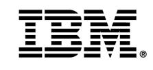 Copyright IBM Corporation 2004 IBM Global Services Route 100 Somers, NY 10589 U.S.A.