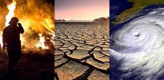 GLOBAL CLIMATE CHANGE Causes of Climate Change: Burning of fossil fuels Pollution Releasing greenhouse gases Burning forests Effects of