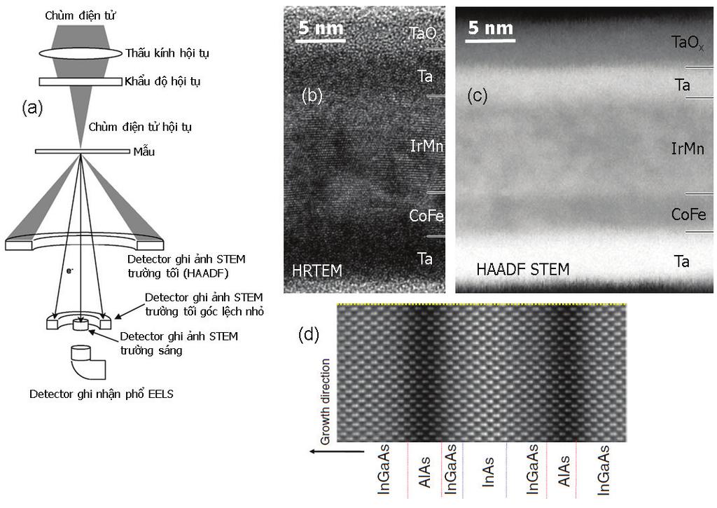 Hình 2: (a) sơ đồ sự tạo ảnh quang học trong TEM và chế độ HRTEM (được sửa đổi lại từ [4]), (b) ảnh chụp HRTEM đơn tinh thể Silicon với bề mặt SiO 2 vô định hình, phổ biến đổi Fourier các vùng lựa