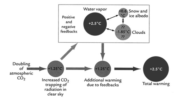 Future CO2 Change Global Warming Due to 2xCO 2 Atmospheric CO2 will increase within two centuries to levels at least two and possibly four times higher than those that existed before