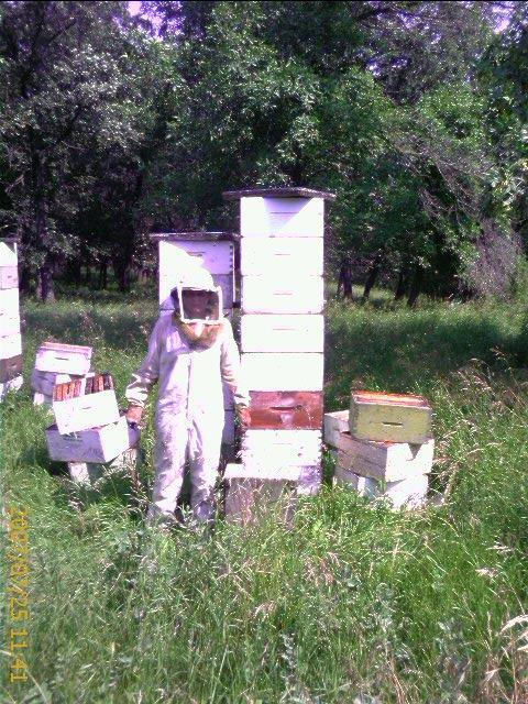 Biological control. Manipulating Hive components is very labour intensive. Each honey box weighs 50 lbs when full.