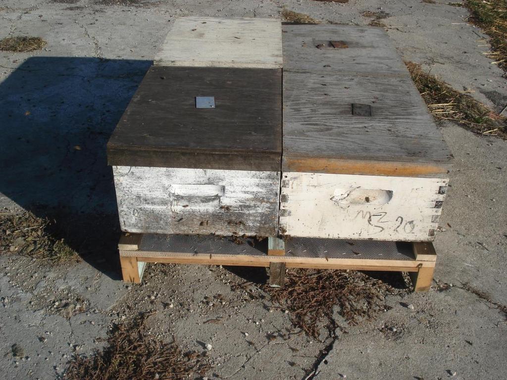 How it works (for me) Hives mounted in pairs on
