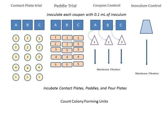 Page 4 of 8 d. 9 replicates of each coupon type were placed in 9 individual petri plates. 3 plates were labelled for Contact, 3 were labelled for EnviroTest, and 3 were labelled for Control. e. Each of the replicate coupons was inoculated with 0.