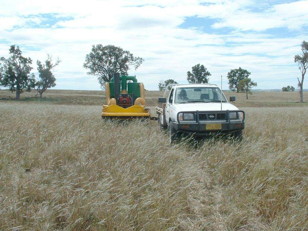 Native grass seed can be harvested after the cereal crop is harvested