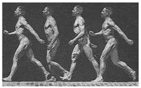 10] The human body can perform simple or composed (complex) movements, in its integrality or only by some of its parts.