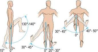 Chapter 4. Analysis methodology of the lower limb anatomical and biomechanical characteristics a) b) c) Fig. 4.18.