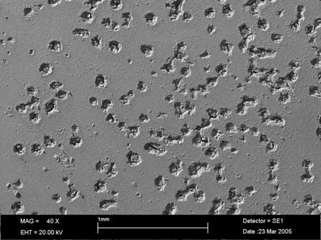 Fig. 12. The mass losses of the samples as a function of immersion time (1, 10, 40, 70 and 100 h). Fig. 15. SEM micrograph of TiN coated sample surface after 100 h immersion in 1 N H 2 SO 4 solution.