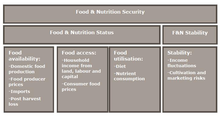 Concept of food security Food security: food and care-related aspects of good nutrition Nutrition