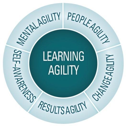 Who High Potentials Are High potentials are individuals with high learning agility Learning agility is the willingness and ability to learn the right lessons from experience, and apply those