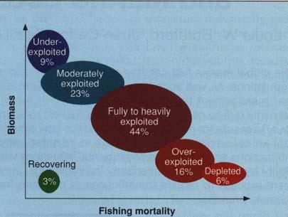 value Diect employment 200 million people Human diet: fisheies 1/5 animal potein Revenues: $70 billion