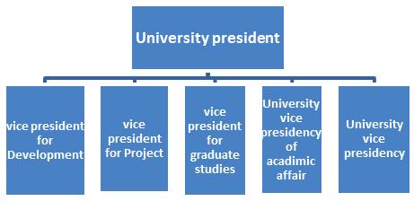 If we compare this type of structure in 3 universities, we find that the vices president is similar in names and responsibilities with a little difference in section names that falling under the