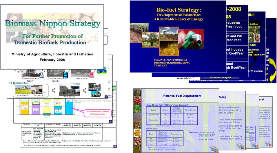 ( Example of Contents 1-(7) Climate change ) Outcomes of Projects of Biomass energy (Documents of Symposium on Agricultural and Biofuel Policy, self-funded by Japan, as a APEC project, 2008 ) 13 (