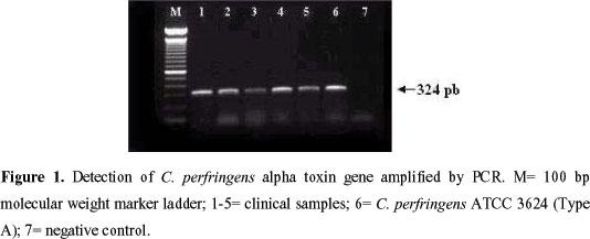 Trong nghiên cứu genome học Nhân bản vô tính với PCR. Phát hiện các khiếm khuyết gene Định type các mô Phát hiện các vi sinh vật gây bệnh Recombinant PCR. Kỹ thuật footprinting DnaseI.
