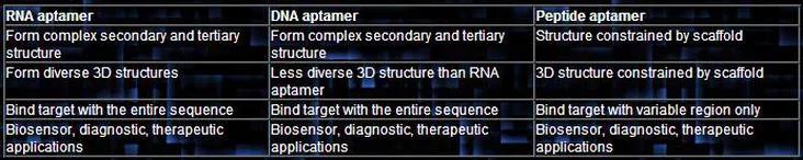 There are three types of aptamers: DNA, RNA, and peptide aptamers.