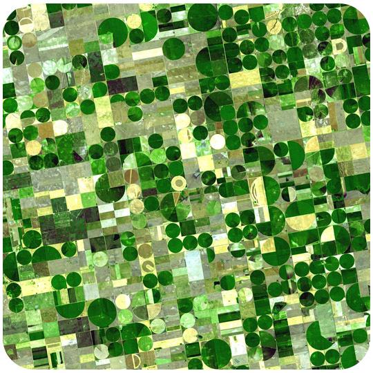 www.ck12.org Chapter 1. Groundwater FIGURE 1.5 Farms in Kansas use central pivot irrigation, which is more efficient since water falls directly on the crops instead of being shot in the air.