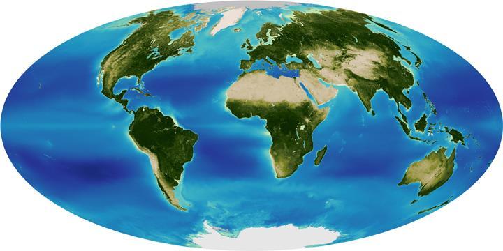 The Global Ocean Earth is made up of 71% water, most of that