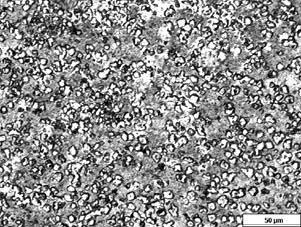 Fig. 2. Optical micrographs of the M2 high-speed steel after spheroidization at 1166 C for 12 hours.