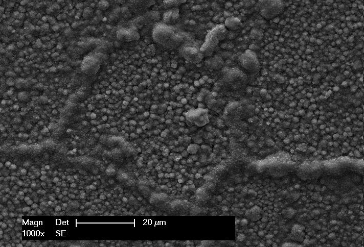 The morphology and the structure of the formed oxide scale were investigated on top as well as in crosssection by means of scanning electron microscopy combined with energy dispersive X-ray (SEM/EDX