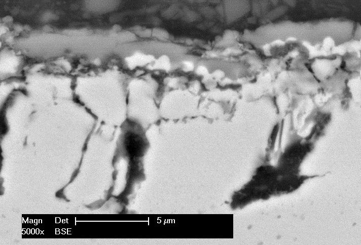 established oxide layer on the preoxidized alloy 601 revealed the presence of further microcracks which are mostly oriented perpendicular to the sample surface (see Fig. 4).