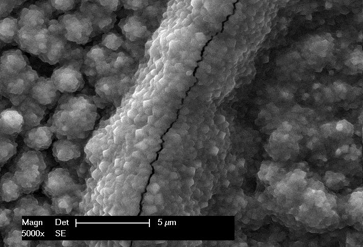 3 SEM-micrograph of the grown oxide scale on the surface of the thermocycled alloy 601 Fig. 4 SEM-micrograph of the oxidized alloy 601 in cross-section 3.