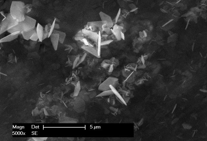 Cross-section SEM investigations of the oxidized CoNiCrAlYcoating demonstrate the formation of a very thin oxide scale, which